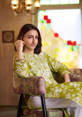 Zainab Chikankari Mulmul Printed Straight Kurta -Green